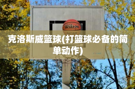 克洛斯威篮球(打篮球必备的简单动作) 克洛斯威篮球(打篮球必备的简单动作)