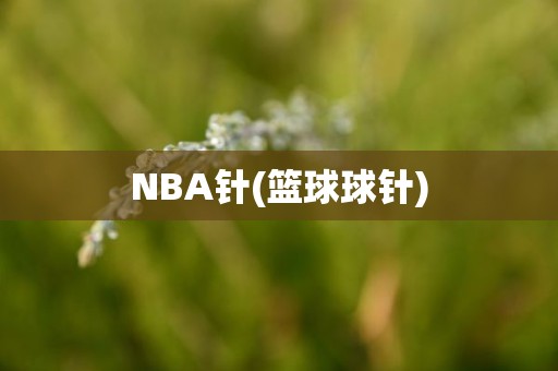 NBA针(篮球球针) NBA针(篮球球针)