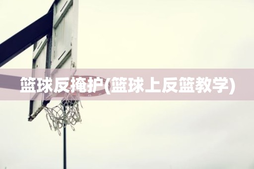 篮球反掩护(篮球上反篮教学) 篮球反掩护(篮球上反篮教学)