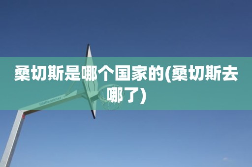 桑切斯是哪个国家的(桑切斯去哪了) 桑切斯是哪个国家的(桑切斯去哪了)