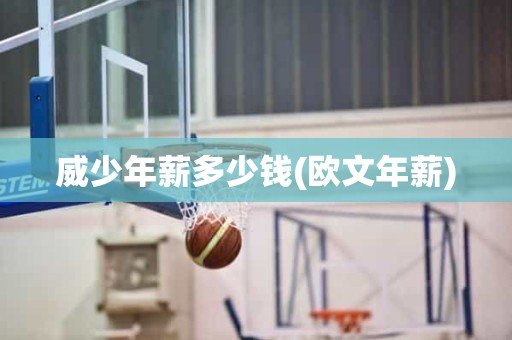 威少年薪多少钱(欧文年薪) 威少年薪多少钱(欧文年薪)