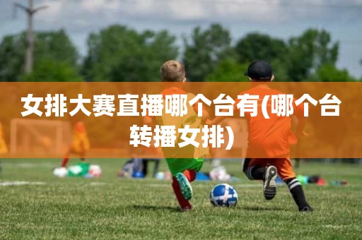 女排大赛直播哪个台有(哪个台转播女排) 女排大赛直播哪个台有(哪个台转播女排)