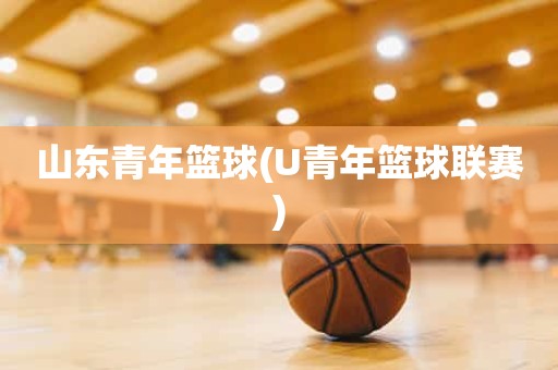 山东青年篮球(U青年篮球联赛) 山东青年篮球(U青年篮球联赛)