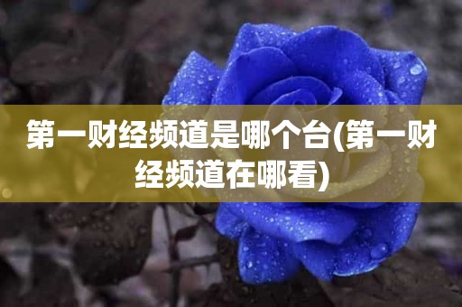 第一财经频道是哪个台(第一财经频道在哪看) 第一财经频道是哪个台(第一财经频道在哪看)