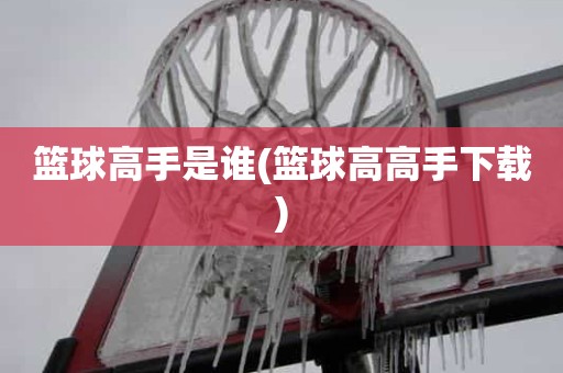 篮球高手是谁(篮球高高手下载) 篮球高手是谁(篮球高高手下载)