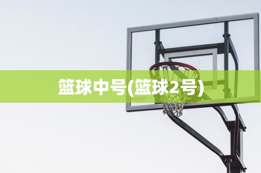 篮球中号(篮球2号) 篮球中号(篮球2号)