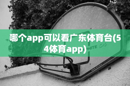 哪个app可以看广东体育台(54体育app) 哪个app可以看广东体育台(54体育app)