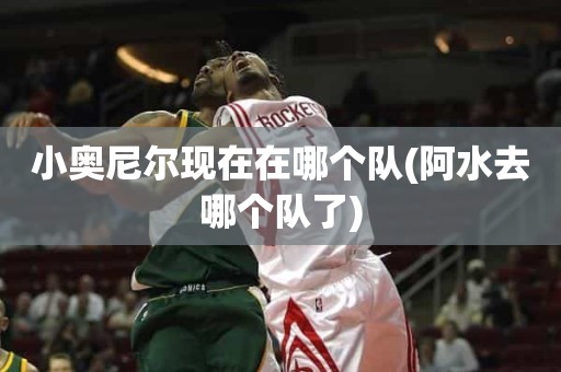 小奥尼尔现在在哪个队(阿水去哪个队了) 小奥尼尔现在在哪个队(阿水去哪个队了)