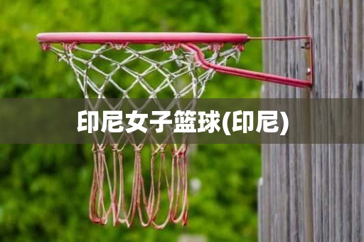 印尼女子篮球(印尼) 印尼女子篮球(印尼)