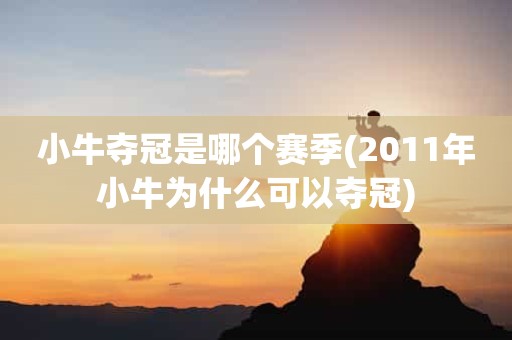 小牛夺冠是哪个赛季(2011年小牛为什么可以夺冠) 小牛夺冠是哪个赛季(2011年小牛为什么可以夺冠)