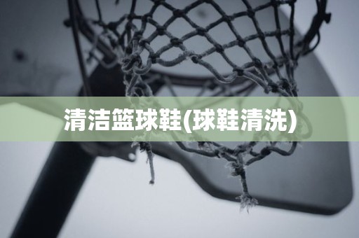 清洁篮球鞋(球鞋清洗) 清洁篮球鞋(球鞋清洗)