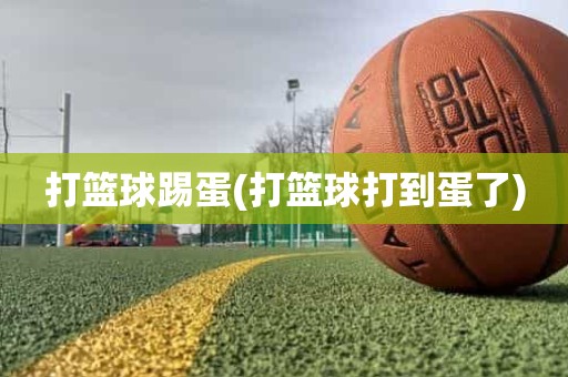 打篮球踢蛋(打篮球打到蛋了) 打篮球踢蛋(打篮球打到蛋了)