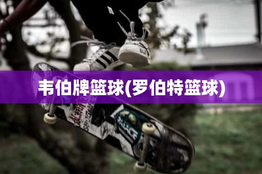 韦伯牌篮球(罗伯特篮球) 韦伯牌篮球(罗伯特篮球)