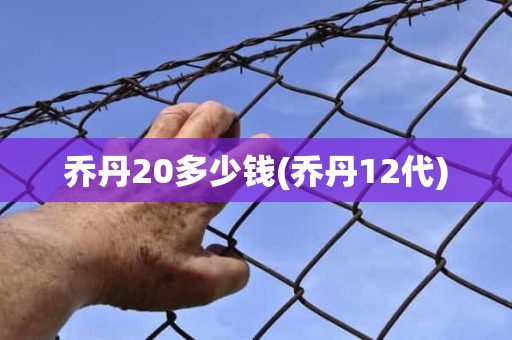 乔丹20多少钱(乔丹12代) 乔丹20多少钱(乔丹12代)