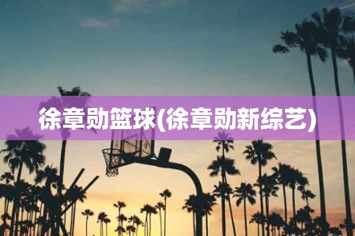 徐章勋篮球(徐章勋新综艺) 徐章勋篮球(徐章勋新综艺)