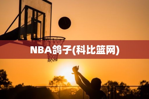 NBA鸽子(科比篮网) NBA鸽子(科比篮网)