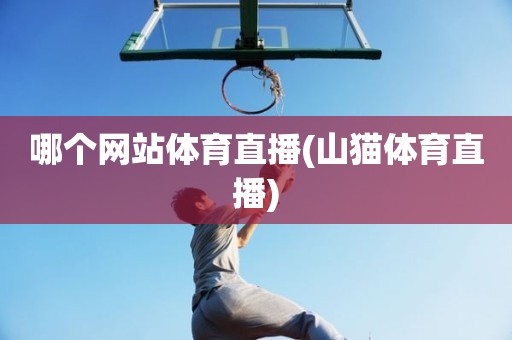 哪个网站体育直播(山猫体育直播) 哪个网站体育直播(山猫体育直播)