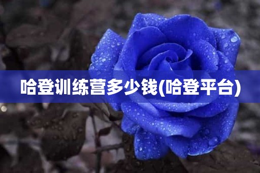 哈登训练营多少钱(哈登平台) 哈登训练营多少钱(哈登平台)