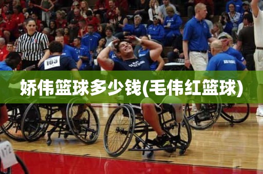娇伟篮球多少钱(毛伟红篮球) 娇伟篮球多少钱(毛伟红篮球)
