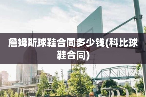 詹姆斯球鞋合同多少钱(科比球鞋合同) 詹姆斯球鞋合同多少钱(科比球鞋合同)