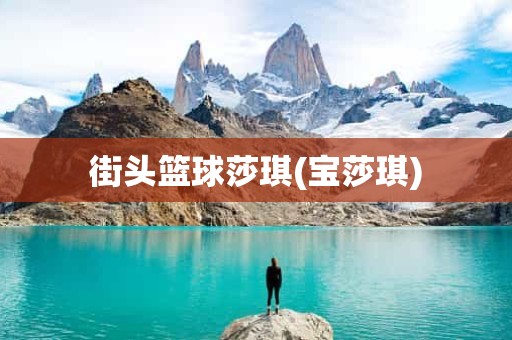 街头篮球莎琪(宝莎琪) 街头篮球莎琪(宝莎琪)
