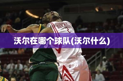 沃尔在哪个球队(沃尔什么) 沃尔在哪个球队(沃尔什么)