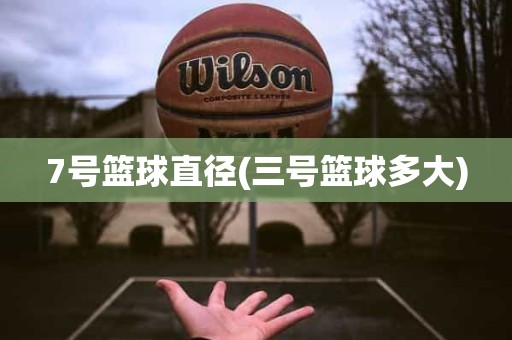 7号篮球直径(三号篮球多大) 7号篮球直径(三号篮球多大)