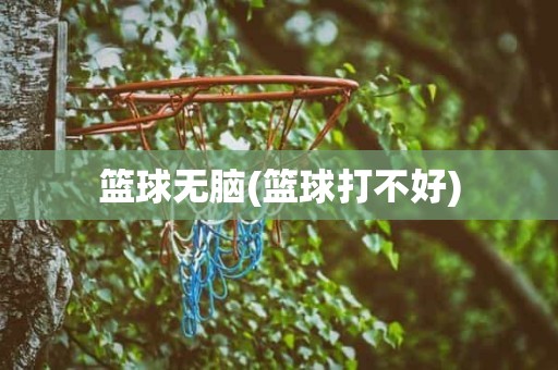 篮球无脑(篮球打不好) 篮球无脑(篮球打不好)