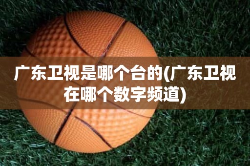 广东卫视是哪个台的(广东卫视在哪个数字频道) 广东卫视是哪个台的(广东卫视在哪个数字频道)