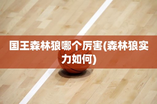 国王森林狼哪个厉害(森林狼实力如何) 国王森林狼哪个厉害(森林狼实力如何)