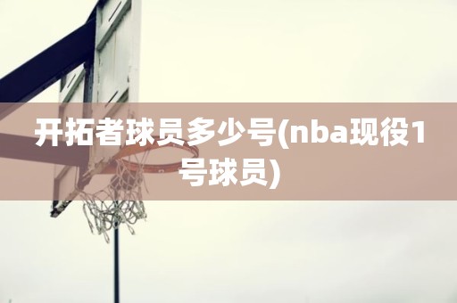 开拓者球员多少号(nba现役1号球员) 开拓者球员多少号(nba现役1号球员)
