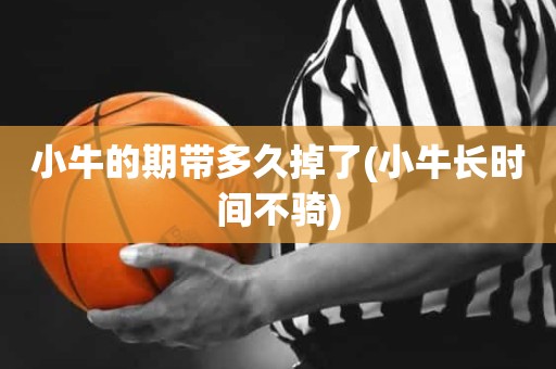 小牛的期带多久掉了(小牛长时间不骑) 小牛的期带多久掉了(小牛长时间不骑)