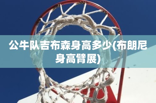 公牛队吉布森身高多少(布朗尼身高臂展) 公牛队吉布森身高多少(布朗尼身高臂展)