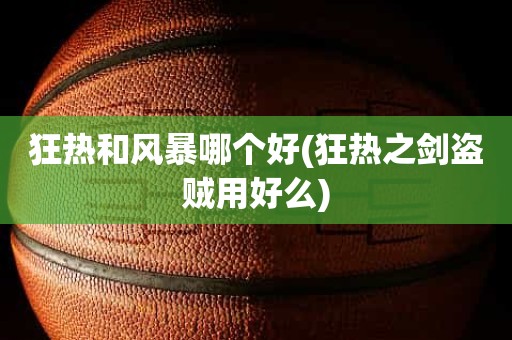 狂热和风暴哪个好(狂热之剑盗贼用好么) 狂热和风暴哪个好(狂热之剑盗贼用好么)