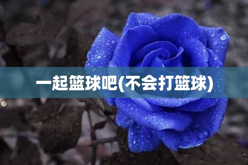 一起篮球吧(不会打篮球) 一起篮球吧(不会打篮球)