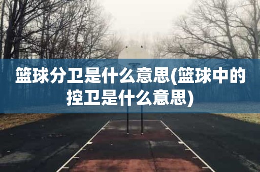 篮球分卫是什么意思(篮球中的控卫是什么意思) 篮球分卫是什么意思(篮球中的控卫是什么意思)
