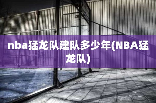 nba猛龙队建队多少年(NBA猛龙队) nba猛龙队建队多少年(NBA猛龙队)