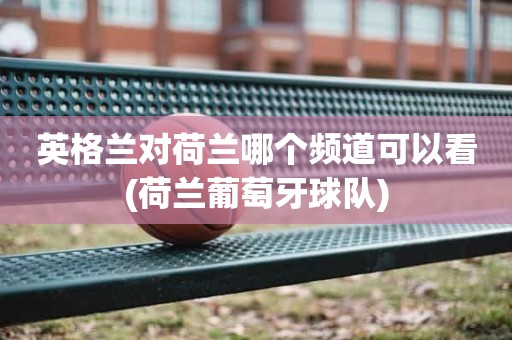 英格兰对荷兰哪个频道可以看(荷兰葡萄牙球队) 英格兰对荷兰哪个频道可以看(荷兰葡萄牙球队)
