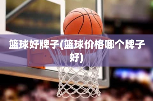 篮球好牌子(篮球价格哪个牌子好) 篮球好牌子(篮球价格哪个牌子好)
