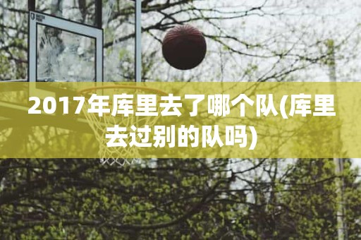 2017年库里去了哪个队(库里去过别的队吗) 2017年库里去了哪个队(库里去过别的队吗)