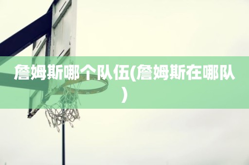 詹姆斯哪个队伍(詹姆斯在哪队) 詹姆斯哪个队伍(詹姆斯在哪队)