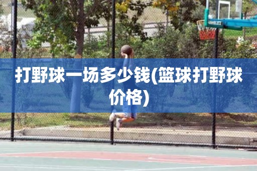打野球一场多少钱(篮球打野球价格) 打野球一场多少钱(篮球打野球价格)