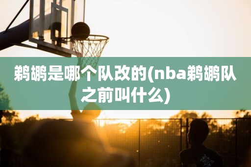 鹈鹕是哪个队改的(nba鹈鹕队之前叫什么) 鹈鹕是哪个队改的(nba鹈鹕队之前叫什么)