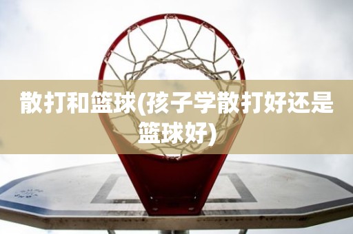 散打和篮球(孩子学散打好还是篮球好) 散打和篮球(孩子学散打好还是篮球好)