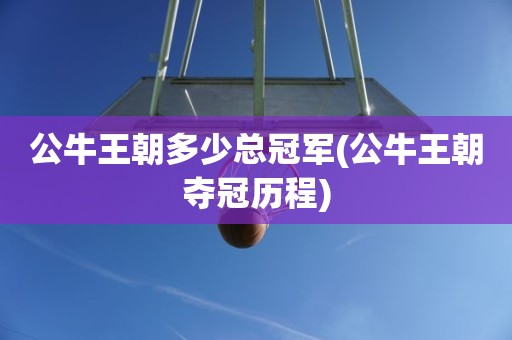 公牛王朝多少总冠军(公牛王朝夺冠历程) 公牛王朝多少总冠军(公牛王朝夺冠历程)