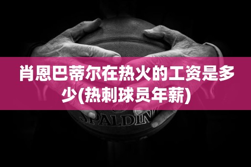 肖恩巴蒂尔在热火的工资是多少(热刺球员年薪) 肖恩巴蒂尔在热火的工资是多少(热刺球员年薪)