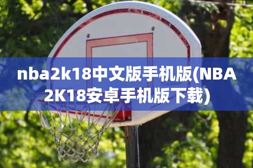 nba2k18中文版手机版(NBA2K18安卓手机版下载) nba2k18中文版手机版(NBA2K18安卓手机版下载)