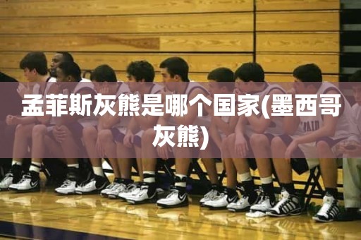 孟菲斯灰熊是哪个国家(墨西哥灰熊) 孟菲斯灰熊是哪个国家(墨西哥灰熊)