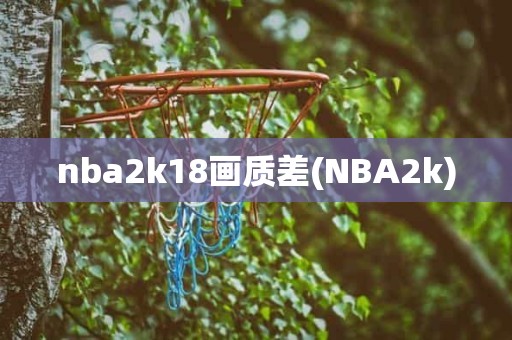 nba2k18画质差(NBA2k) nba2k18画质差(NBA2k)