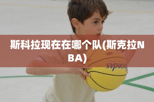 斯科拉现在在哪个队(斯克拉NBA) 斯科拉现在在哪个队(斯克拉NBA)